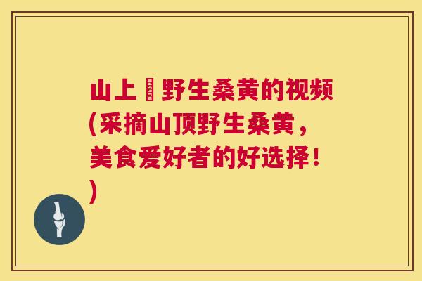 山上釆野生桑黄的视频(采摘山顶野生桑黄，美食爱好者的好选择！)