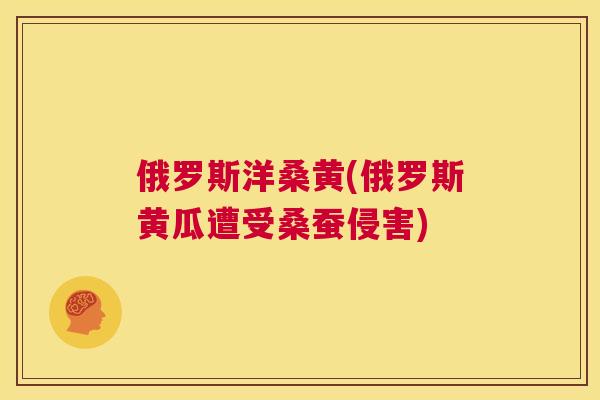 俄罗斯洋桑黄(俄罗斯黄瓜遭受桑蚕侵害)