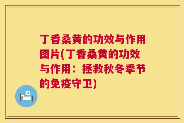 丁香桑黄的功效与作用图片(丁香桑黄的功效与作用：拯救秋冬季节的守卫)