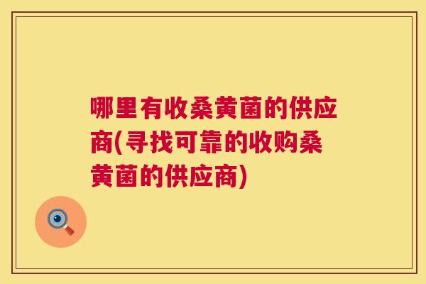 哪里有收桑黄菌的供应商(寻找可靠的收购桑黄菌的供应商)