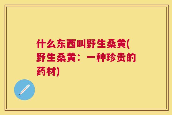 什么东西叫野生桑黄(野生桑黄：一种珍贵的药材)