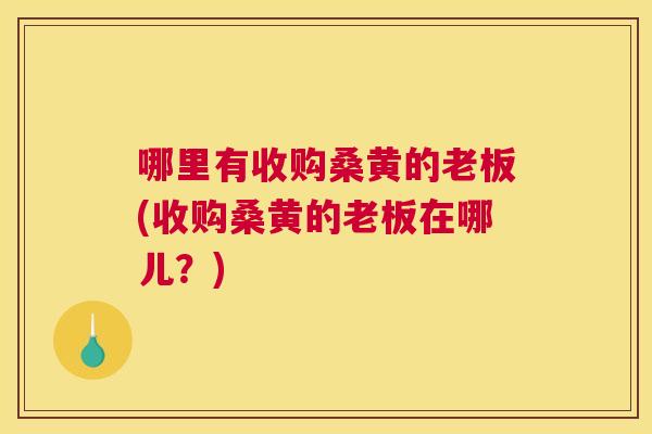 哪里有收购桑黄的老板(收购桑黄的老板在哪儿？)