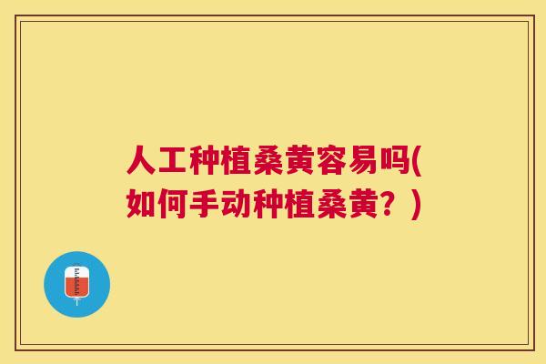 人工种植桑黄容易吗(如何手动种植桑黄？)