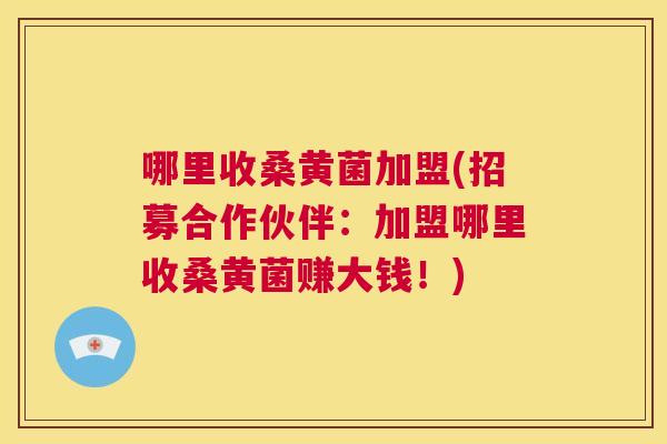 哪里收桑黄菌加盟(招募合作伙伴：加盟哪里收桑黄菌赚大钱！)