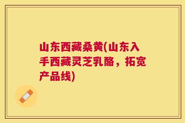 山东西藏桑黄(山东入手西藏灵芝乳酪，拓宽产品线)