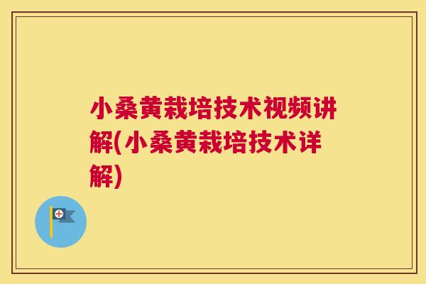 小桑黄栽培技术视频讲解(小桑黄栽培技术详解)