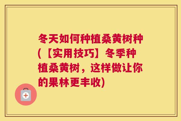 冬天如何种植桑黄树种(【实用技巧】冬季种植桑黄树，这样做让你的果林更丰收)