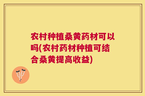 农村种植桑黄药材可以吗(农村药材种植可结合桑黄提高收益)