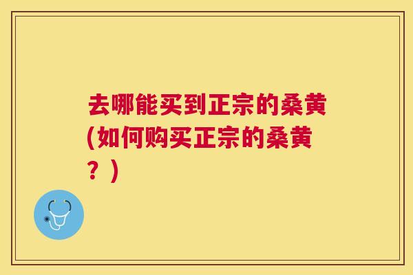 去哪能买到正宗的桑黄(如何购买正宗的桑黄？)