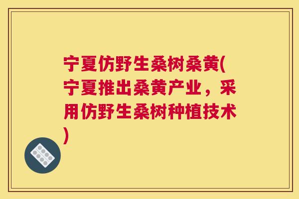 宁夏仿野生桑树桑黄(宁夏推出桑黄产业，采用仿野生桑树种植技术)