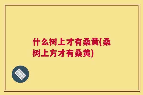 什么树上才有桑黄(桑树上方才有桑黄)