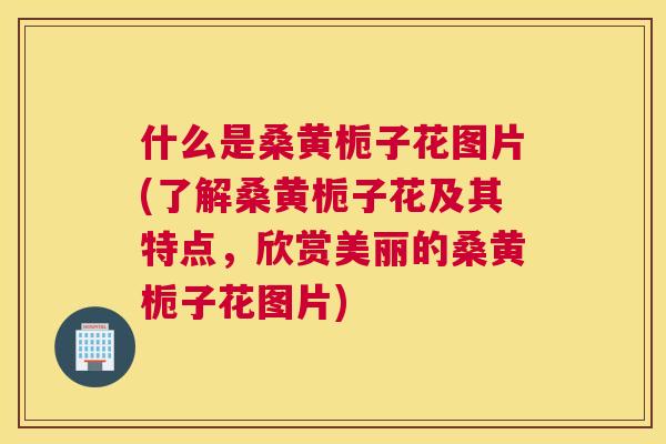 什么是桑黄栀子花图片(了解桑黄栀子花及其特点，欣赏美丽的桑黄栀子花图片)