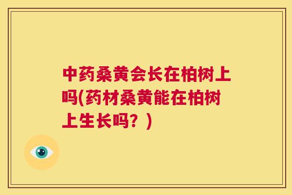 桑黄会长在柏树上吗(药材桑黄能在柏树上生长吗？)