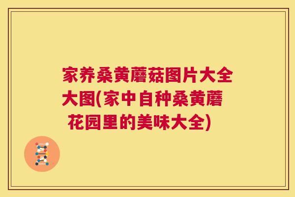 家养桑黄蘑菇图片大全大图(家中自种桑黄蘑 花园里的美味大全) 家养桑黄蘑菇图片大全大图(家中自种桑黄蘑 花园里的美味大全)