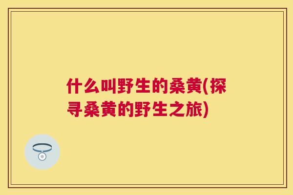 什么叫野生的桑黄(探寻桑黄的野生之旅)