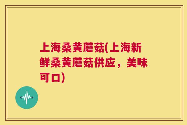 上海桑黄蘑菇(上海新鲜桑黄蘑菇供应，美味可口)