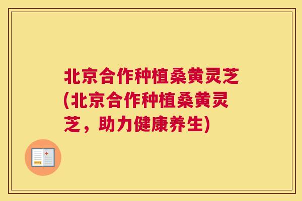 北京合作种植桑黄灵芝(北京合作种植桑黄灵芝，助力健康养生)