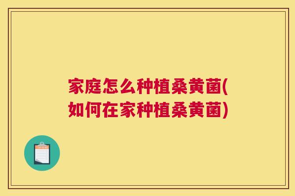家庭怎么种植桑黄菌(如何在家种植桑黄菌)