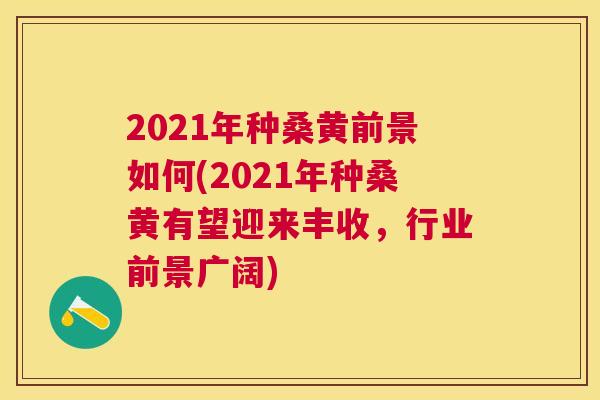 2021年种桑黄前景如何(2021年种桑黄有望迎来丰收，行业前景广阔)
