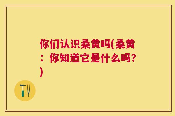 你们认识桑黄吗(桑黄：你知道它是什么吗？)