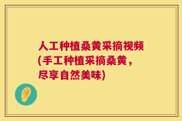 人工种植桑黄采摘视频(手工种植采摘桑黄,尽享自然美味) 人工种植桑黄采摘视频(手工种植采摘桑黄,尽享自然美味)