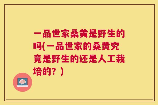 一品世家桑黄是野生的吗(一品世家的桑黄究竟是野生的还是人工栽培的？)