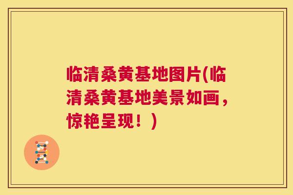 临清桑黄基地图片(临清桑黄基地美景如画,惊艳呈现!) 临清桑黄基地图片(临清桑黄基地美景如画,惊艳呈现!)