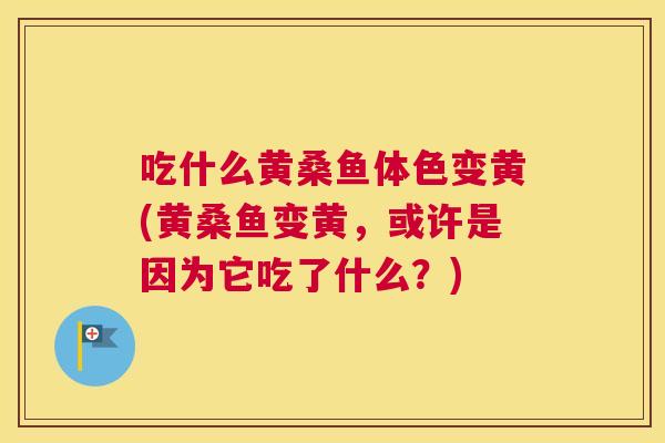 吃什么黄桑鱼体色变黄(黄桑鱼变黄，或许是因为它吃了什么？)