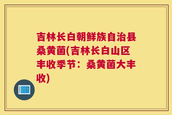 吉林长白朝鲜族自县桑黄菌(吉林长白山区丰收季节：桑黄菌大丰收)