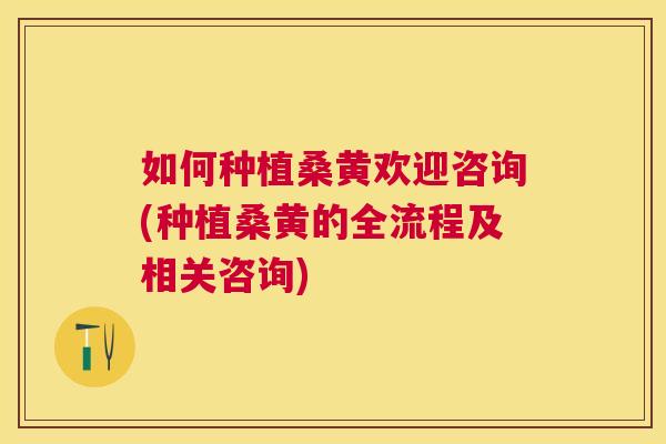 如何种植桑黄欢迎咨询(种植桑黄的全流程及相关咨询)