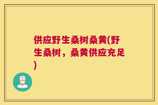 供应野生桑树桑黄(野生桑树，桑黄供应充足)