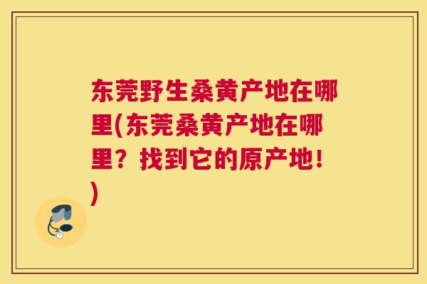 东莞野生桑黄产地在哪里(东莞桑黄产地在哪里？找到它的原产地！)