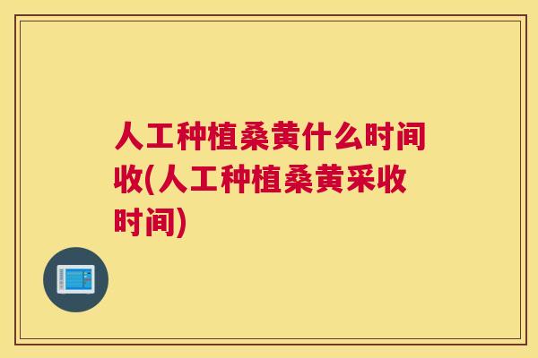 人工种植桑黄什么时间收(人工种植桑黄采收时间)