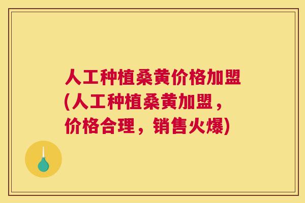 人工种植桑黄价格加盟(人工种植桑黄加盟，价格合理，销售火爆)