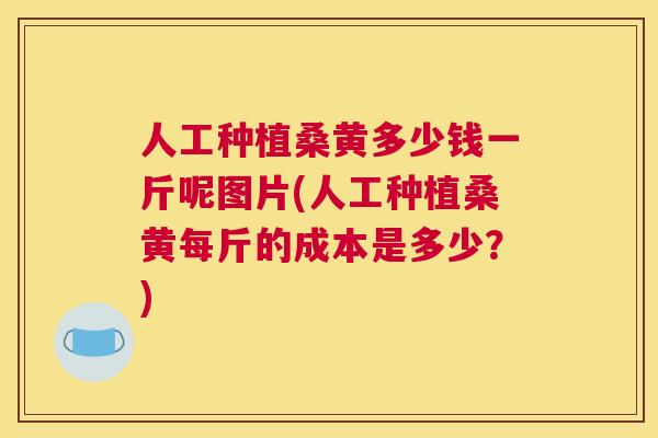 人工种植桑黄多少钱一斤呢图片(人工种植桑黄每斤的成本是多少？)