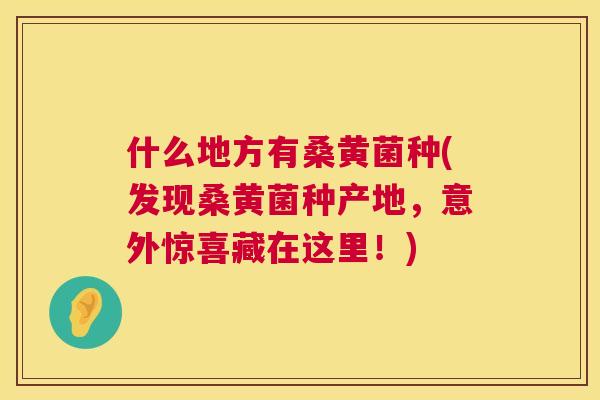 什么地方有桑黄菌种(发现桑黄菌种产地，意外惊喜藏在这里！)