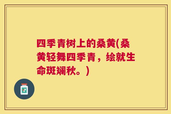 四季青树上的桑黄(桑黄轻舞四季青，绘就生命斑斓秋。)