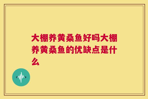 大棚养黄桑鱼好吗大棚养黄桑鱼的优缺点是什么