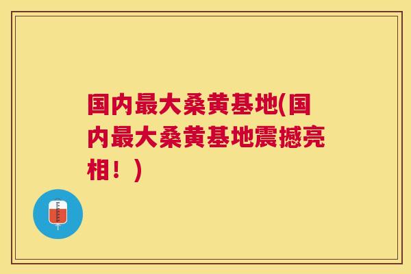 国内大桑黄基地(国内大桑黄基地震撼亮相！)
