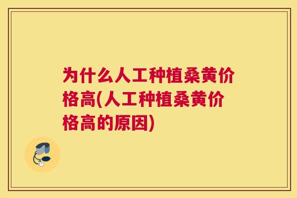 为什么人工种植桑黄价格高(人工种植桑黄价格高的原因)