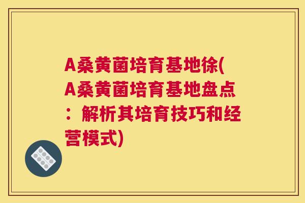 A桑黄菌培育基地徐(A桑黄菌培育基地盘点：解析其培育技巧和经营模式)