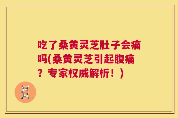 吃了桑黄灵芝肚子会痛吗(桑黄灵芝引起？专家权威解析！)