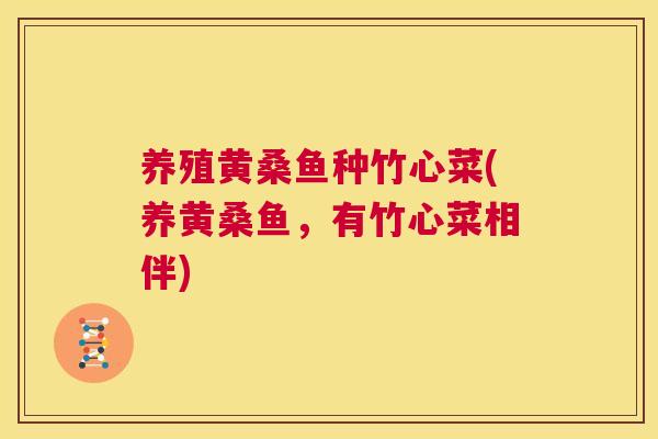养殖黄桑鱼种竹心菜(养黄桑鱼，有竹心菜相伴)