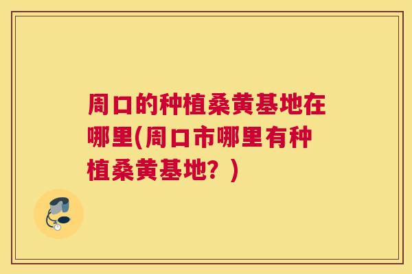 周口的种植桑黄基地在哪里(周口市哪里有种植桑黄基地？)