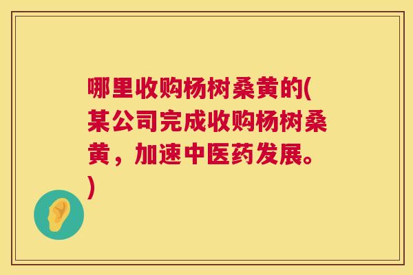 哪里收购杨树桑黄的(某公司完成收购杨树桑黄，加速中医药发展。)