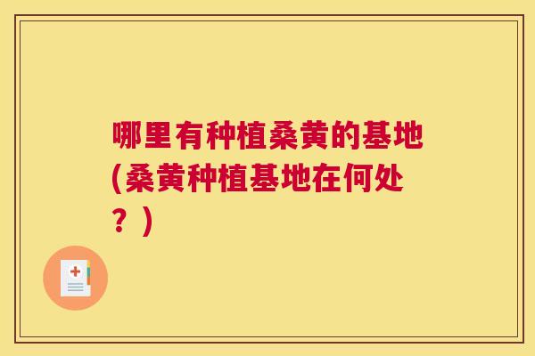 哪里有种植桑黄的基地(桑黄种植基地在何处？)