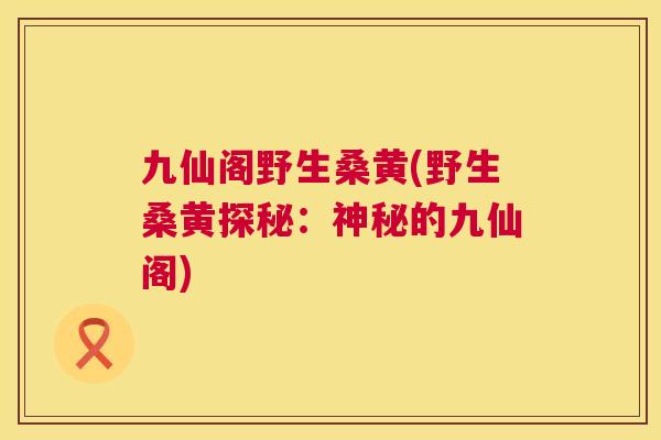 九仙阁野生桑黄(野生桑黄探秘：神秘的九仙阁)