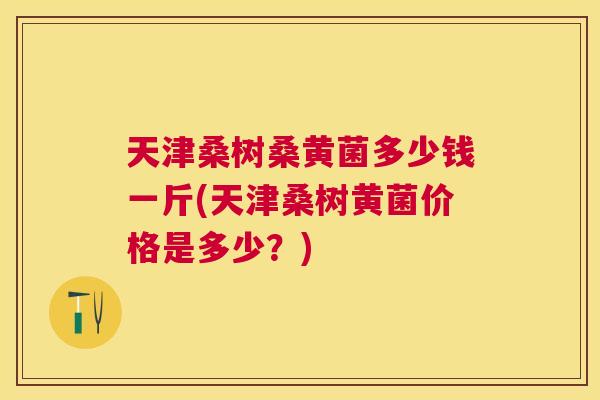 天津桑树桑黄菌多少钱一斤(天津桑树黄菌价格是多少？)