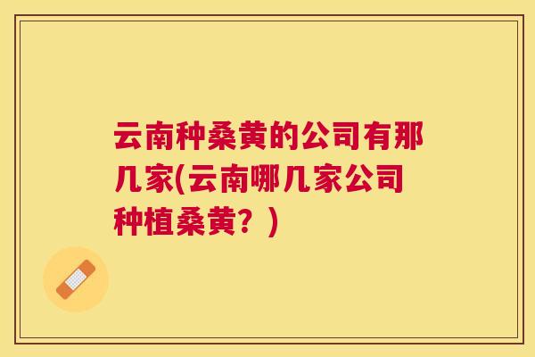 云南种桑黄的公司有那几家(云南哪几家公司种植桑黄？)