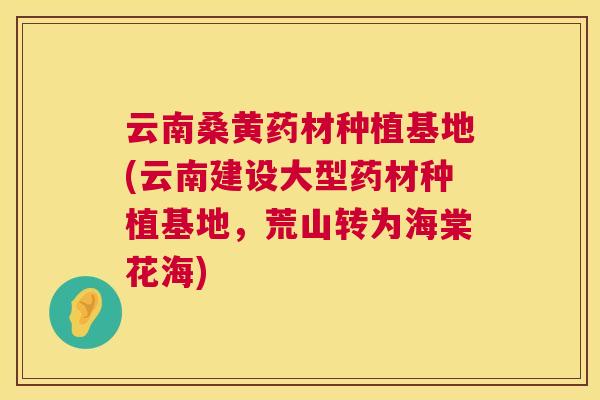 云南桑黄药材种植基地(云南建设大型药材种植基地，荒山转为海棠花海)